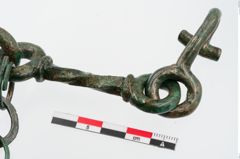 Foto von Bronzetrense (NHMW-PRAE-024293)